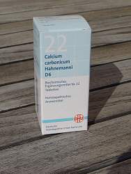 BIOCHEMIE 22 Calcium carbonicum Hahnemanni D 6